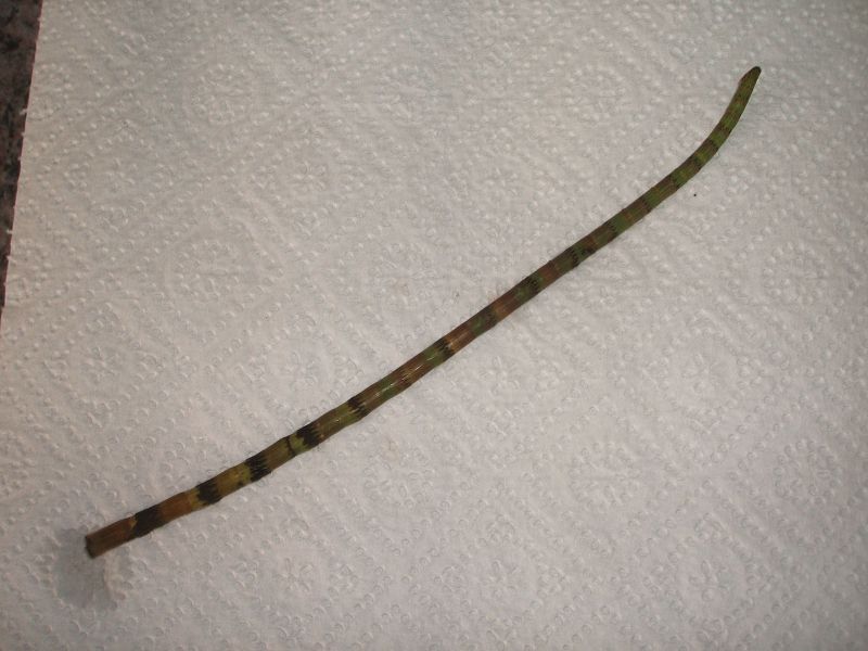 k-wasserspargel.jpg