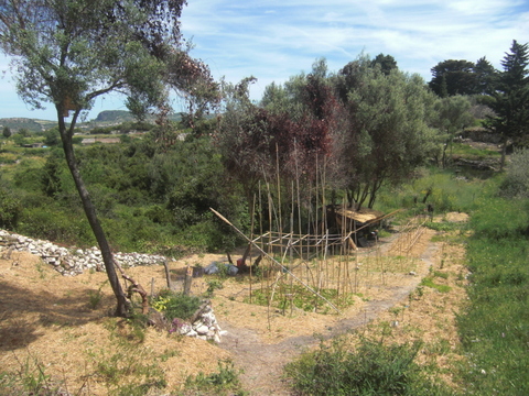 Gemüsegarten.JPG