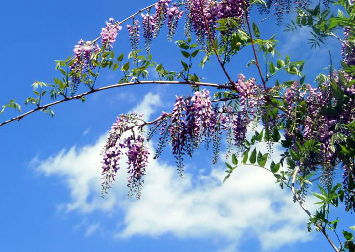 ein paar mehr bitte!.jpg