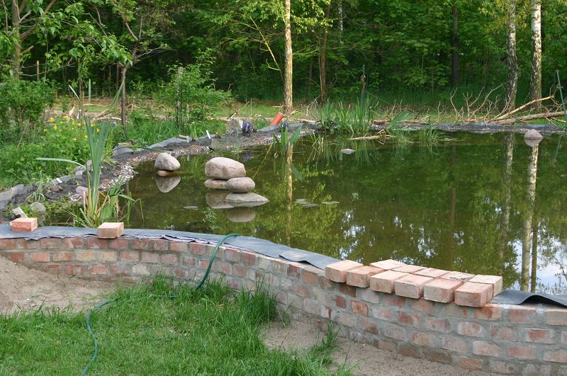 k-teich4.jpg