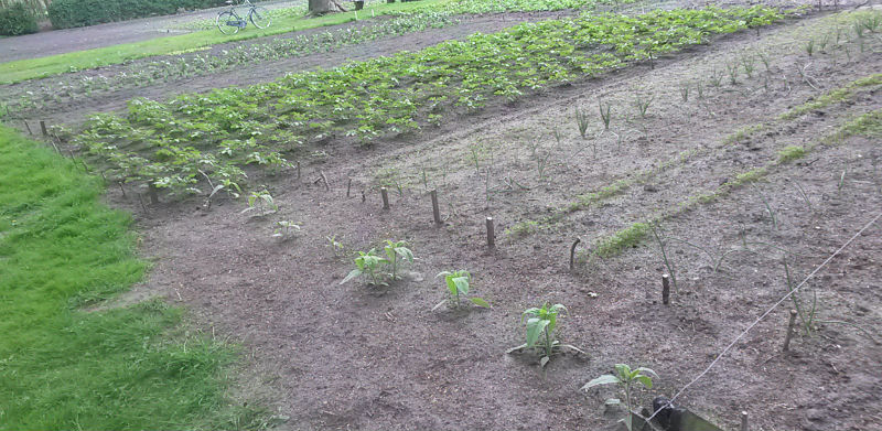 Garten Links