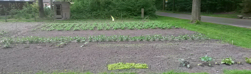 Garten Rechts