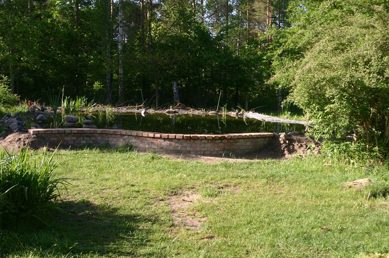 k-teich7.jpg