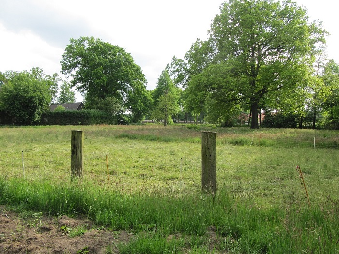 Garten4.jpg