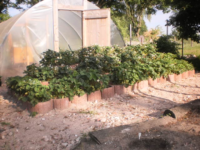 P6050001.JPG