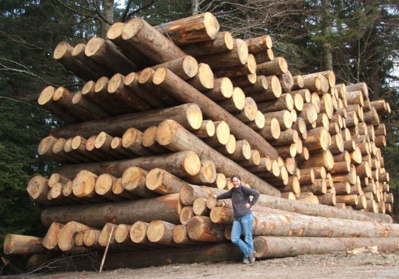 Holzfällers_Traum.jpg