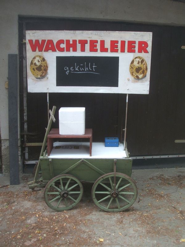 k-eierstand.jpg