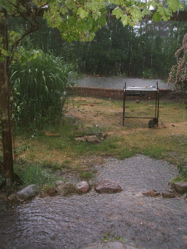 k-regen.jpg