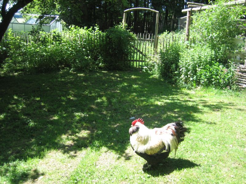 Garten62015 001.jpg