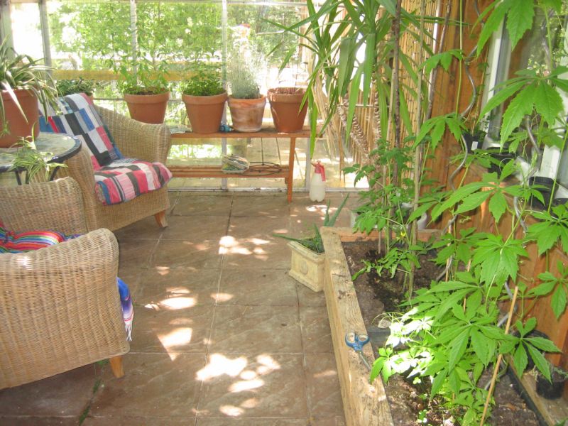 Garten62015 002.jpg