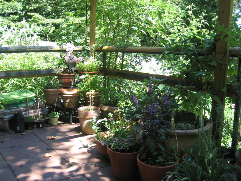 Garten62015 003.jpg