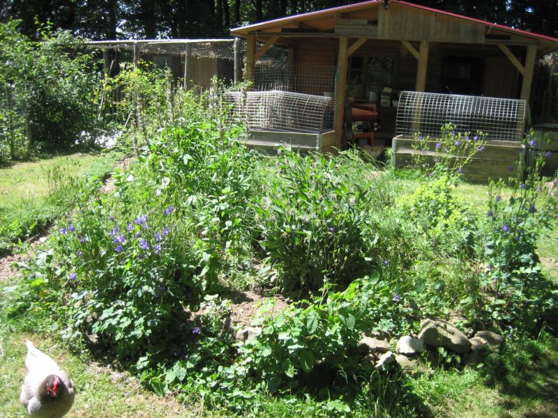 Garten62015 006.jpg