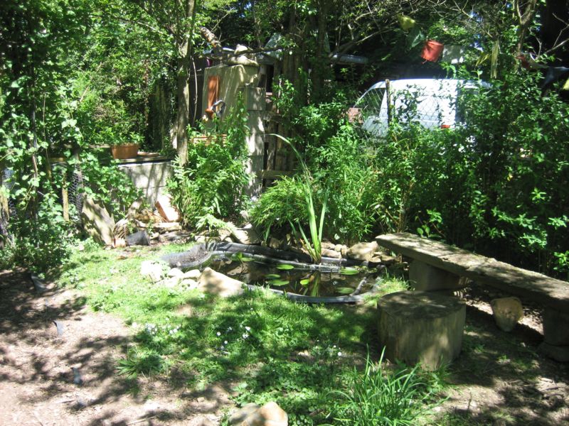 Garten62015 007.jpg