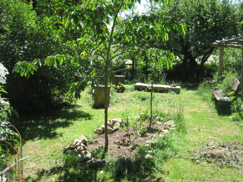 Garten62015 009.jpg