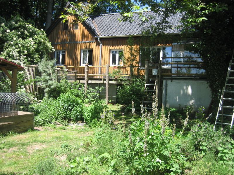 Garten62015 010.jpg