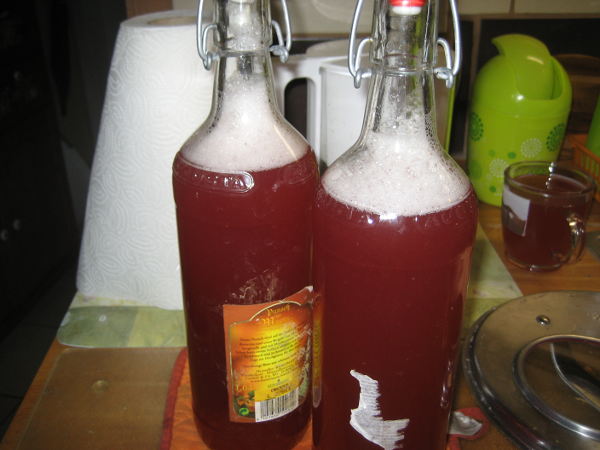 Rhabarbersirup.JPG