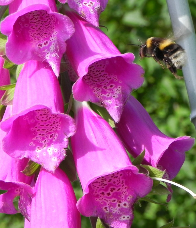 DSCN6149.JPG