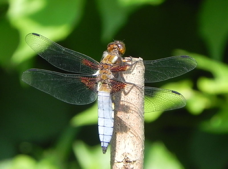 DSCN6280.JPG
