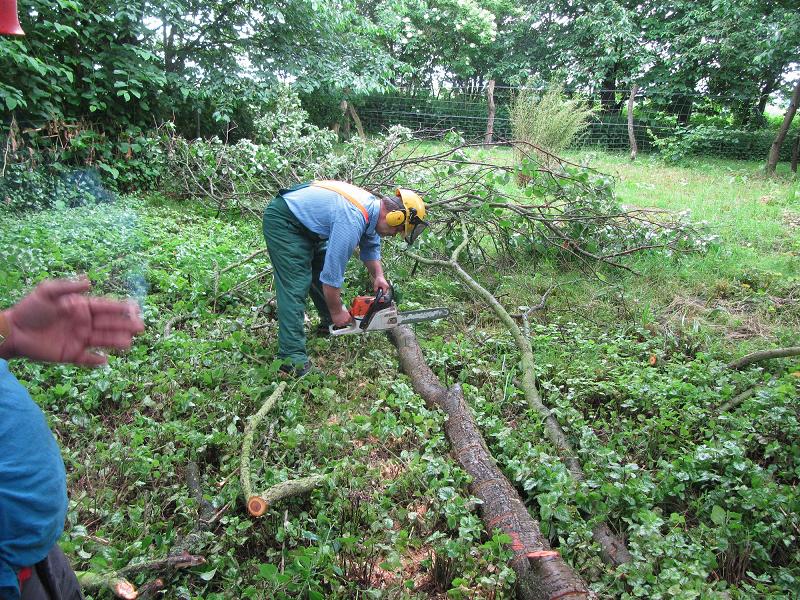 türkischer Mann zerlegt deutsche Pflaume