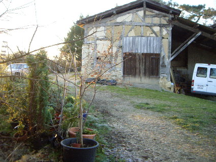 Alte Scheune