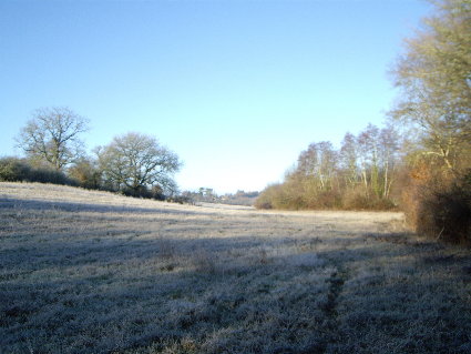 Wintersonne