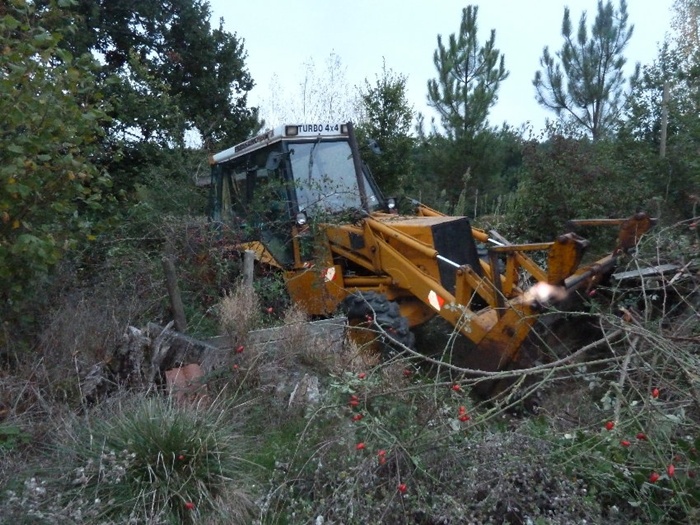 Bagger räumt frei, rund um Gebäude haushoch Abfall und Brombeeren