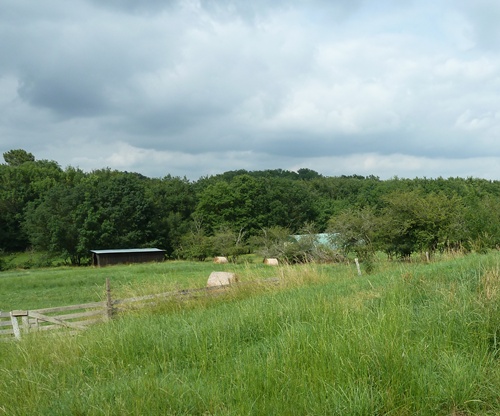 Links alter Schafstall 60 m2<br />Rechts isolierter Folientunnel 100 m2
