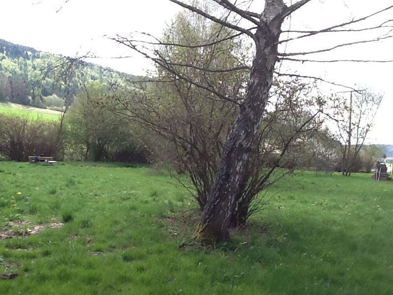 289942D9-3E9E-4E8C-BC81-DAEB4EEF136F.JPG