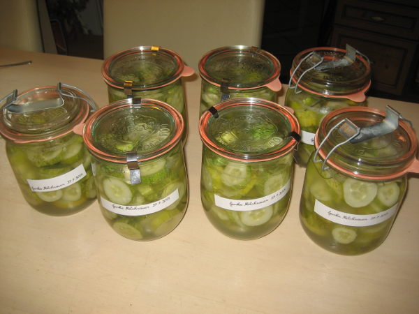 Gurke Milchsauer.JPG