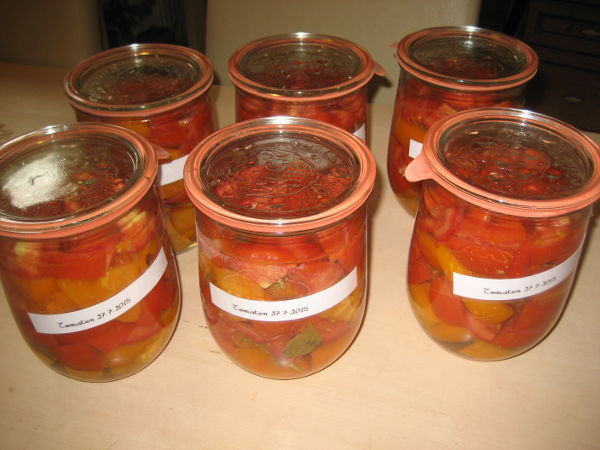 Tomate eingek.JPG