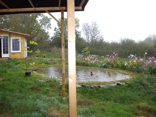 Gartenhaus am Teich