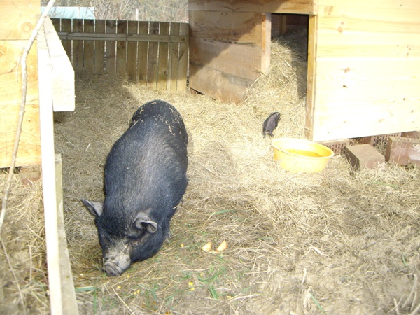 Mama Doris mit 1 Tag altem Baby