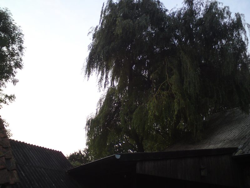 Nachher