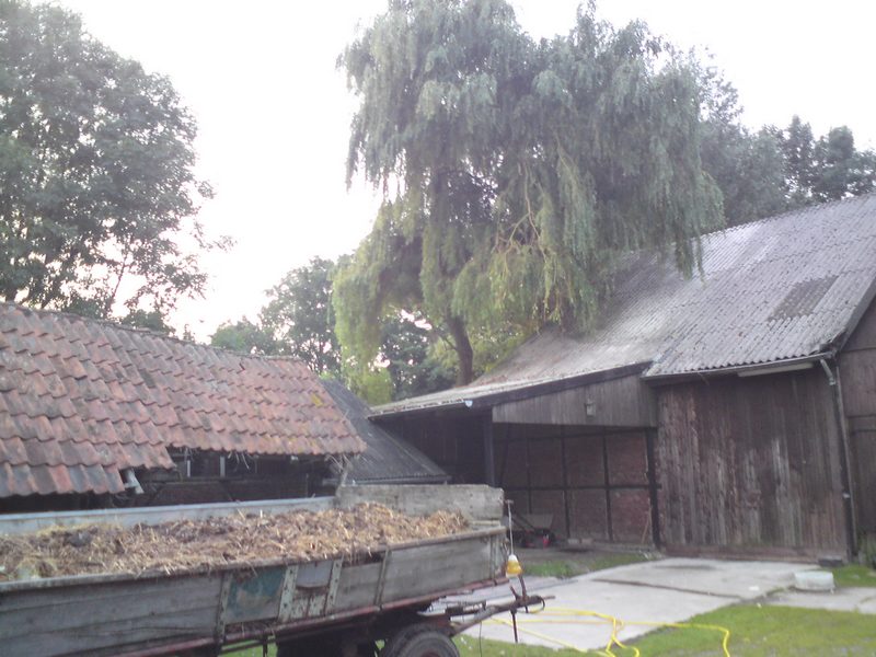 DSC00150.JPG