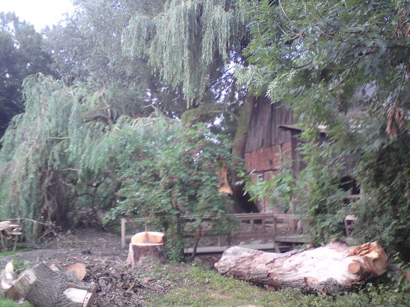 DSC00164.JPG
