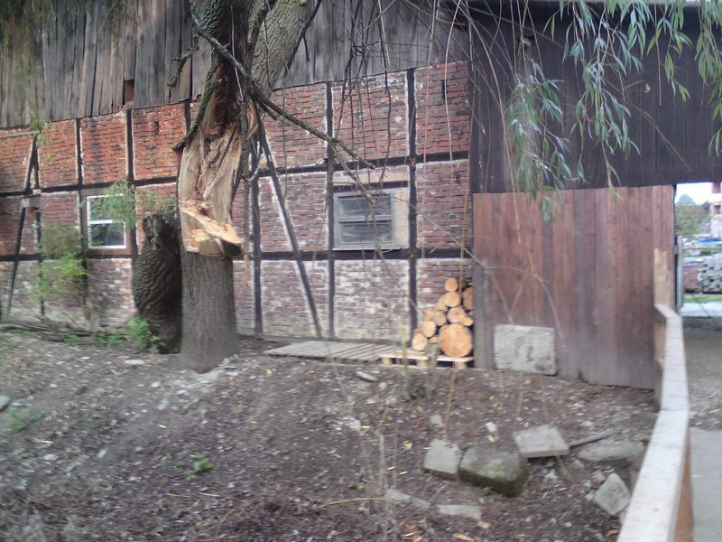 DSC00155.JPG