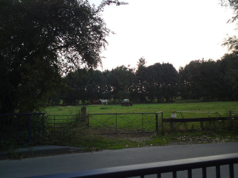 DSC00147.JPG
