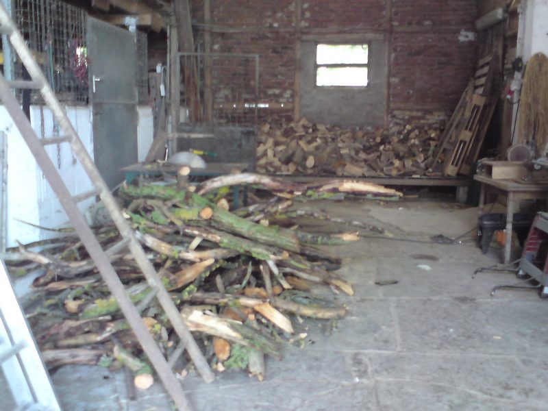 DSC00172.JPG