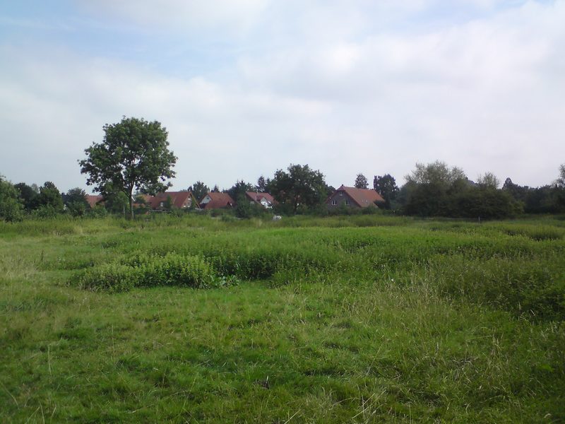 DSC00176.JPG