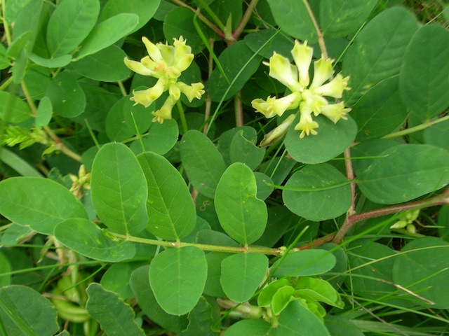 DSCN7860.JPG