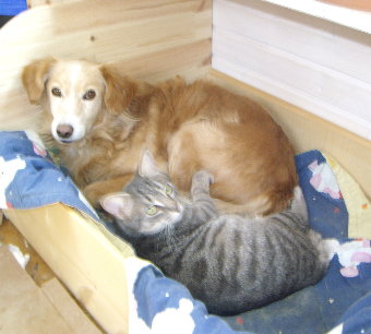 Eloy und Melissa.JPG