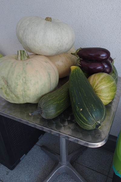 P8223597-Mittel.JPG
