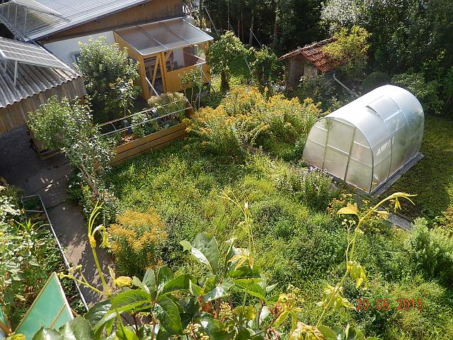 Blick vom Küchenbalkon im 2. Stock. (Erdgeschoss ist Keller, 1. Stock wohnt Verwandtschaft die keine Zeit für Garten hat)