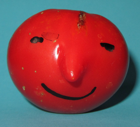 Nasentomate.jpg