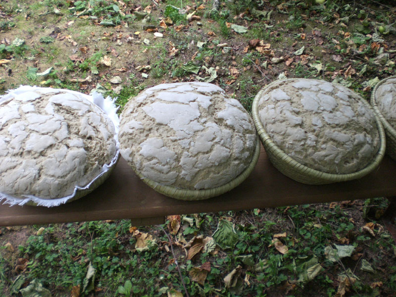 18-brot2.JPG