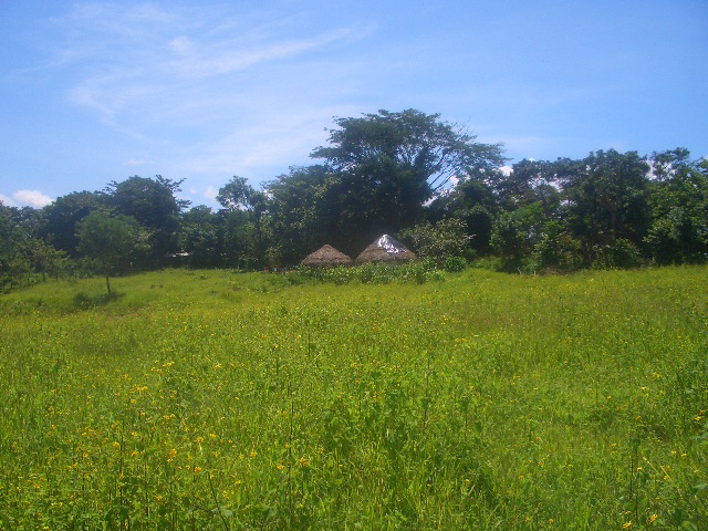 Die Finca!