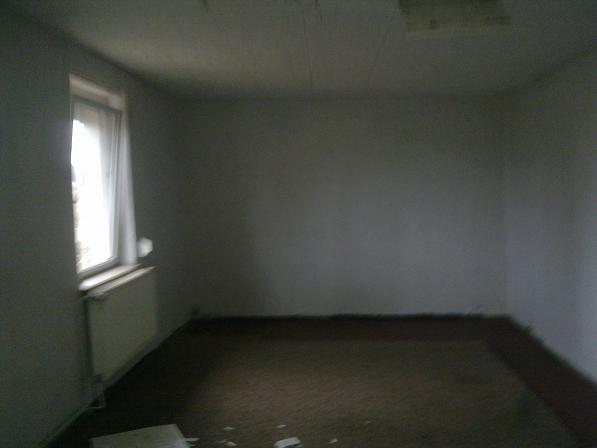 wzs1.JPG