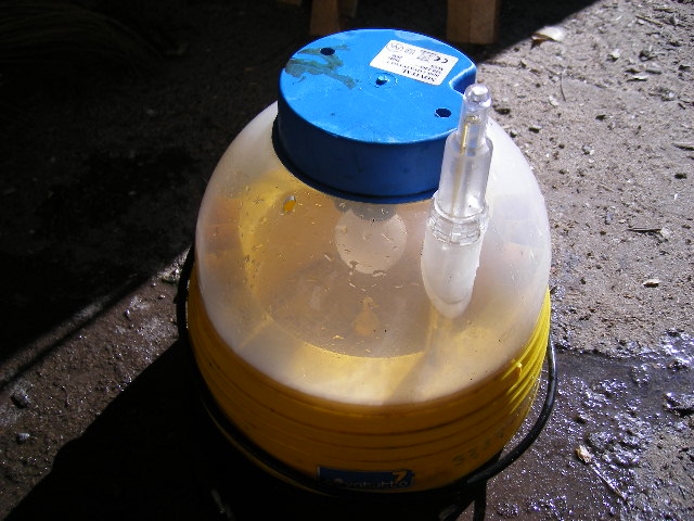 IMGP0518.JPG