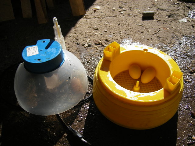 IMGP0519.JPG