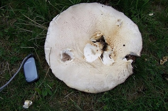 100_2103.JPG